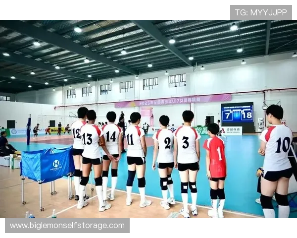 全国锦标赛回顾：成都排球队展现灵活战术与团队协作的精彩表现