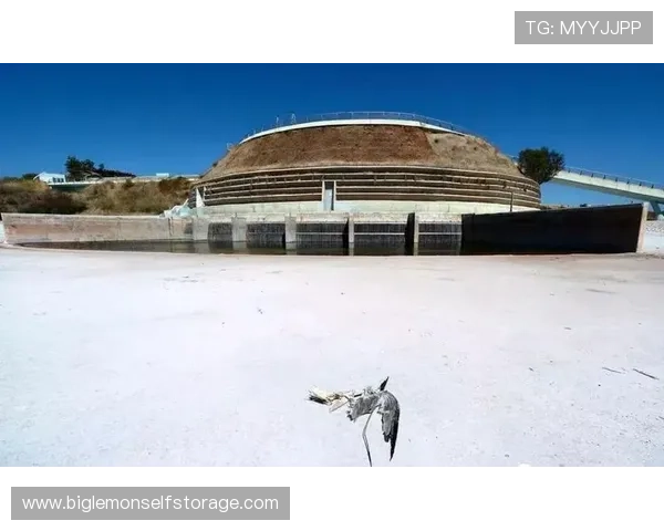 杭州足球队的转型之路：从地方球队到全国冠军的奋斗历程与启示